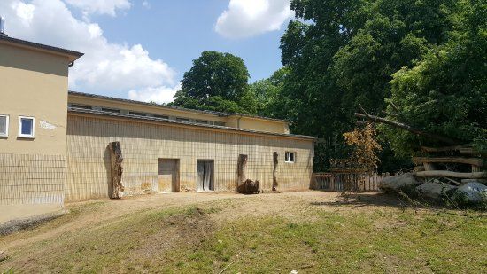 Jardim Zoológico de Frankfurt